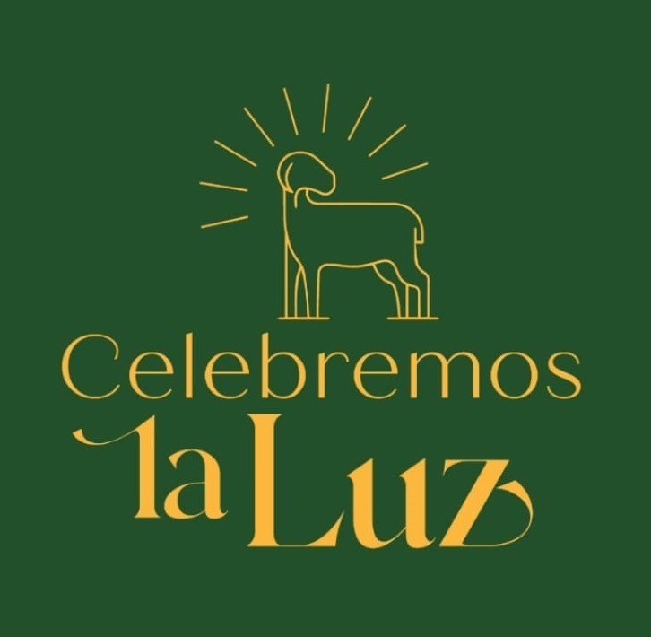 Estábamos en oscuridad, pero hemos visto una gran luz. ¡Jesús es la luz del mundo!